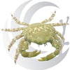 Emerald Crab